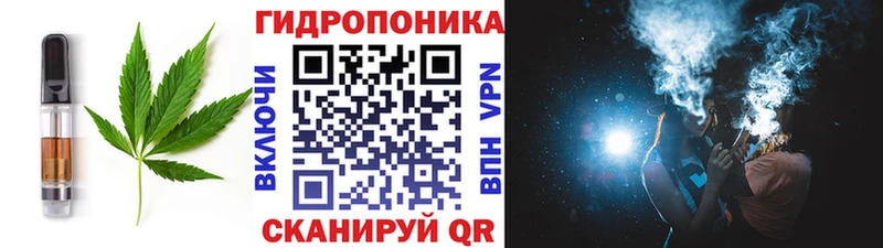 купить  цена  OMG сайт  Cannafood конопля  Жуковский 
