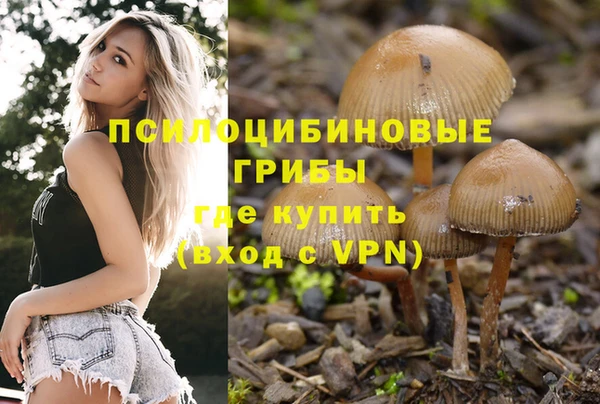 a pvp Щёлкино