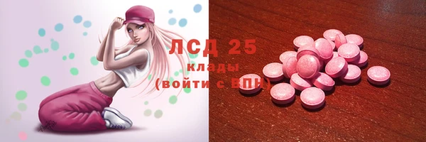 гашик Алзамай