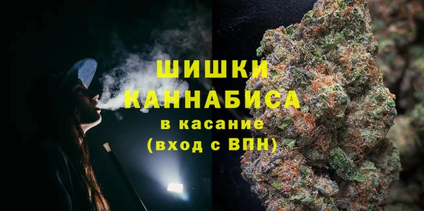 гашик Алзамай
