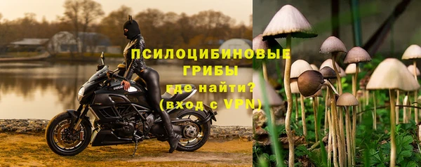 гашик Алзамай