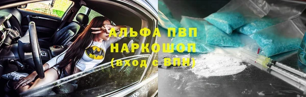гашик Алзамай