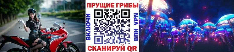 Псилоцибиновые грибы Psilocybine cubensis  наркошоп  Жуковский 
